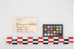 Etikett zu Perlenkette (NHMW-PRAE-025433)